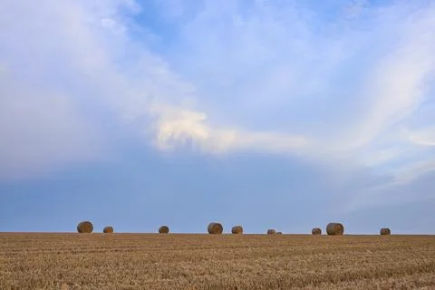 Straw rolls on a huge field in soft evening light and a dramatic sky, summer, Stock Photos