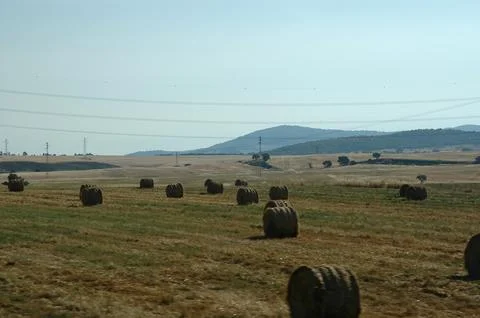 Straw rolls from the leftover part of the wheat harvest Stock Photos
