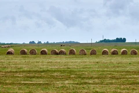 Straw rolls in Lithuanian fields Stock Photos