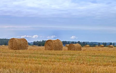 Straw rolls Stock Photos