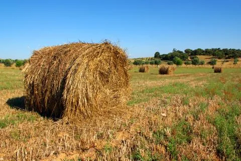 Straw rolls Stock Photos