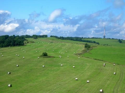 Straw rolls Stock Photos