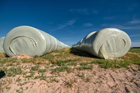 Straw rolls wrapped in plastic wrap Stock Photos