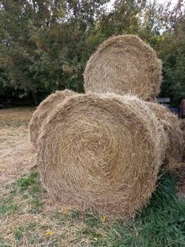 Straw round collected stacks Stock Photos
