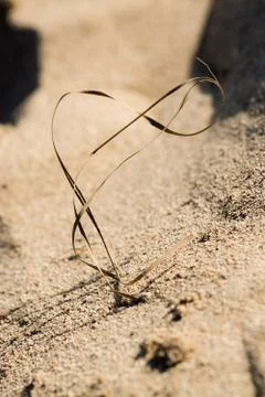 Straw shaped as musical g clave on sandy beach grains Stock Photos