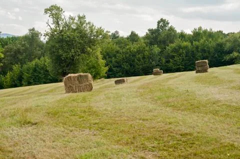 Straw square bales Stock Photos