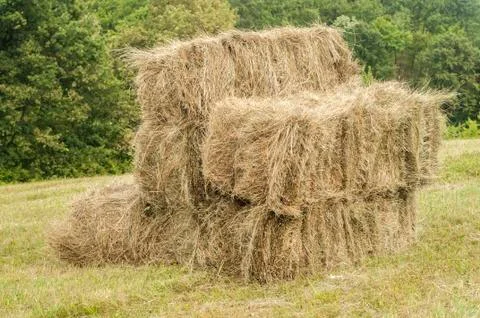 Straw square bales Stock Photos