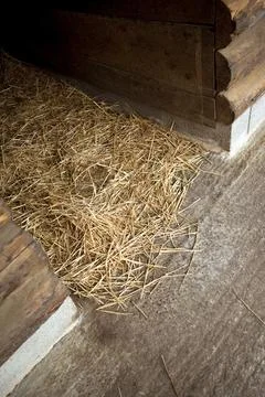 Straw in a stable Stock Photos