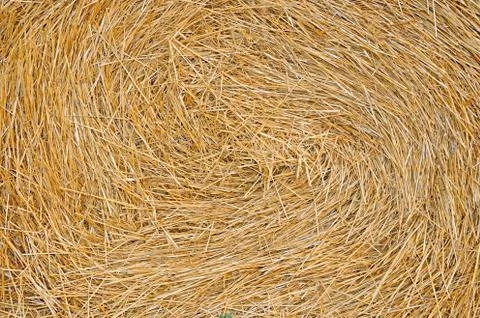 Straw stack Foto stock