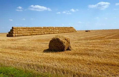 Straw stack 스톡 사진