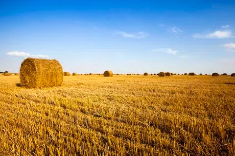 Straw stack Stock Photos