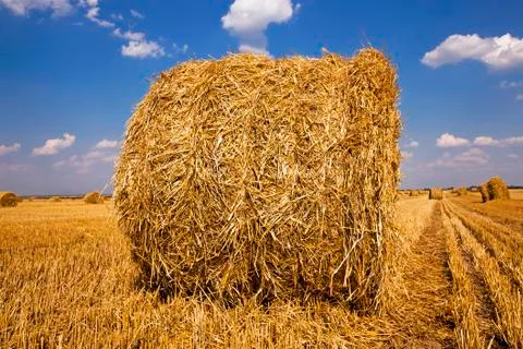Straw stack Foto stock