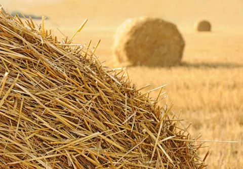 Straw stacks Stock Photos