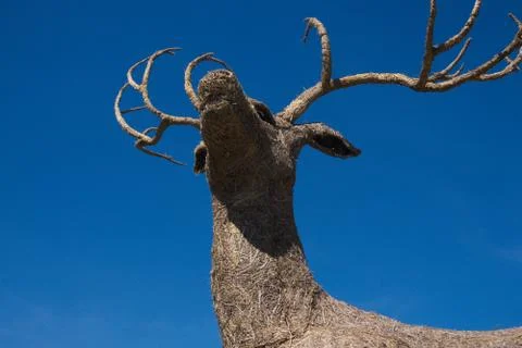 A straw stag deer Foto stock