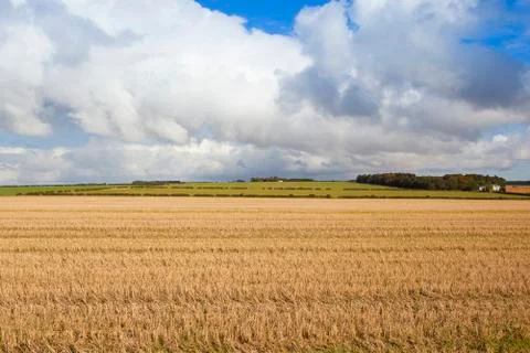 Straw stubble field and dramatic sky Stock Photos