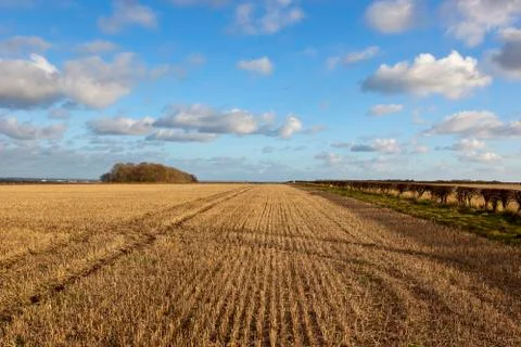 Straw stubble landscape Stock Photos