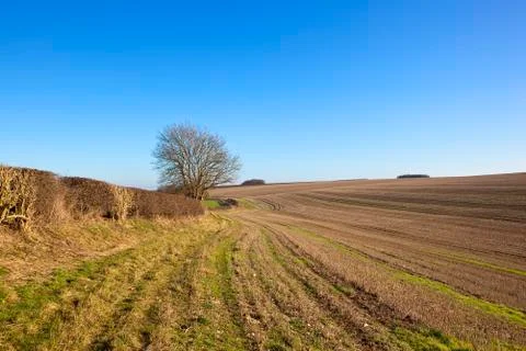 Straw stubble in winter Stock Photos