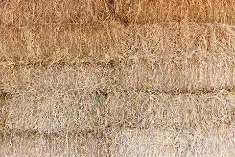 Straw texture background Stock Photos