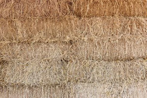 Straw texture background Stock Photos