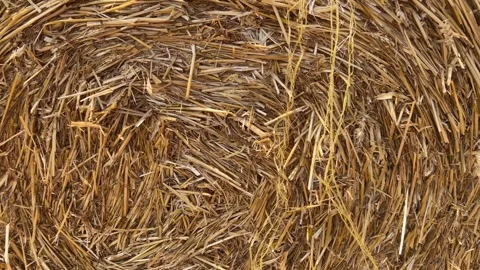 Straw as texture background, tracking shot in close up on straw bale Video stock 312895361
