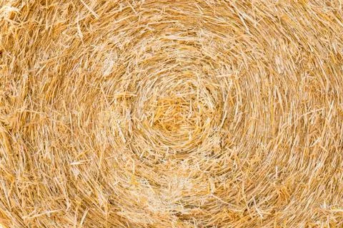 Straw texture circular shape Stock Photos