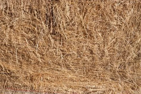 Straw texture Stock Photos