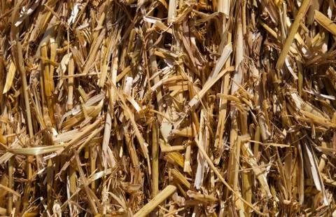 The straw texture Stock Photos