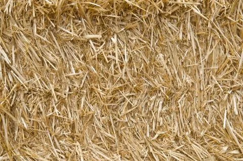 Straw texture Stock Photos