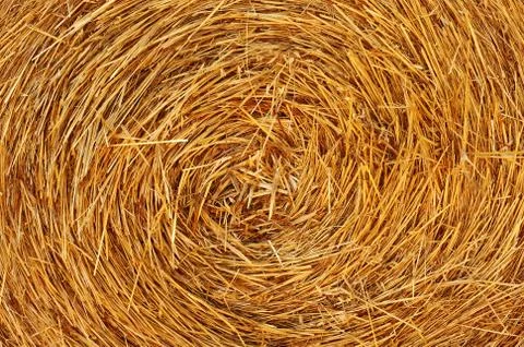 Straw texture Stock Photos