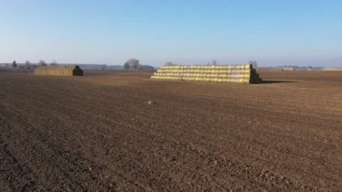 Straw trading. Hay Stack Wall - Straw bales. No people Video stock 119922473