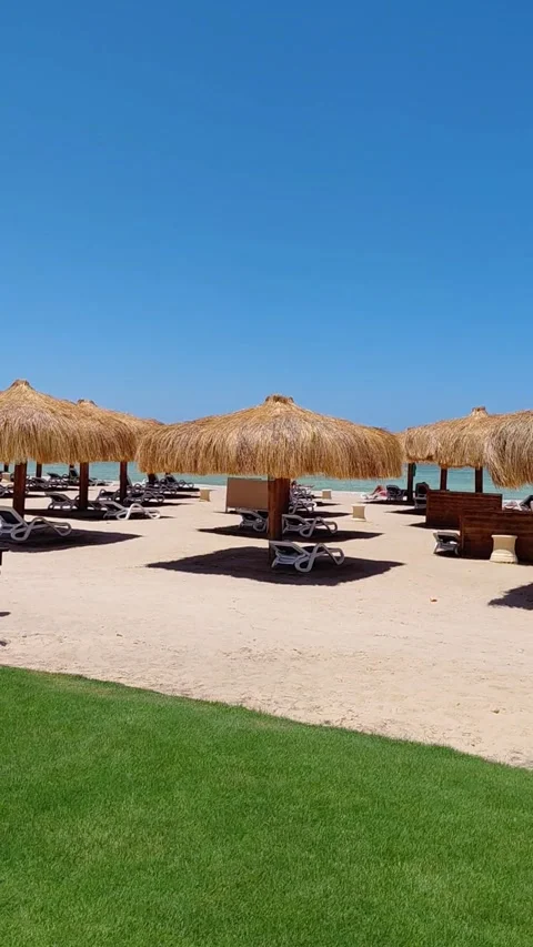 Straw umbrellas and sunbeds on sandy beach in Sahl Hasheesh resort, Egypt. Stock Footage 337533443