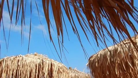 Straw umbrellas with blue sky in background in a beach Stock-Footage 77138189