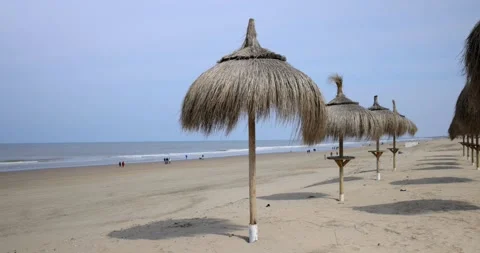 Straw umbrellas on a sandy beach by the sea. North Sea Netherlands Stock Footage 241511746
