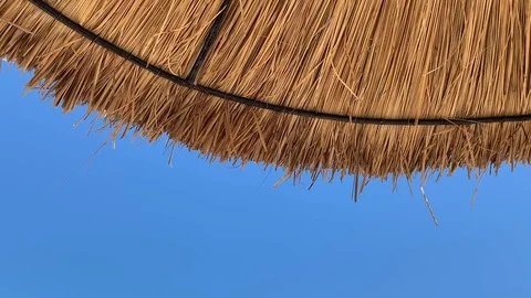 Straw umbrellas on a sunny beach Stock Footage 114414166