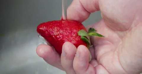 Strawberrie Stock Footage 237370849