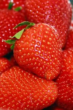 Strawberries 1 Stock Photos