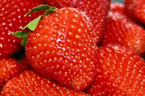 Strawberries 3 Stock Photos