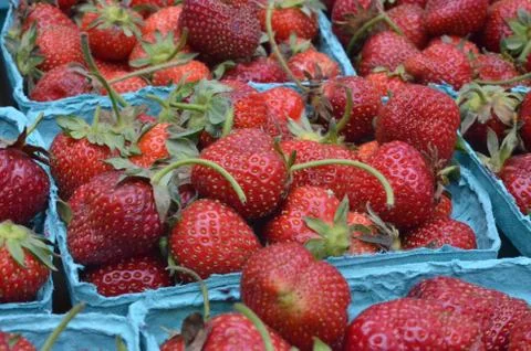 Strawberries 4 Stock Photos