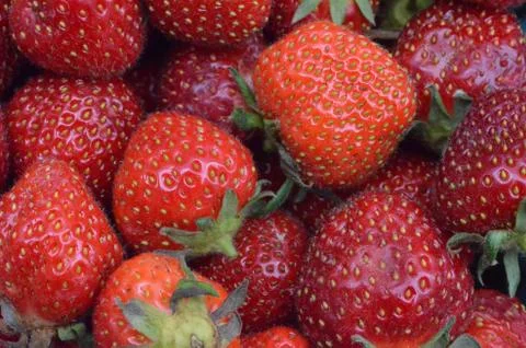 Strawberries 5 Stock Photos