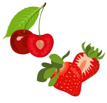 Strawberries and cherries. Vector summer fruit illustration. Stock Illustration