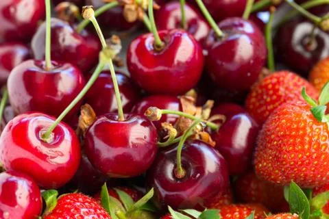 Strawberries and cherry Stock Photos
