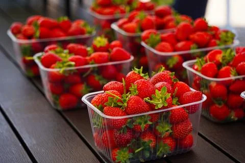 Strawberries are packaged in containers. Stock Photos