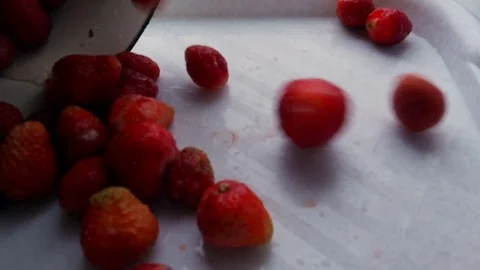 Strawberries are strewed on a tray Video stock 80359284