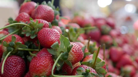 Strawberries arranged in dense rows across a selling surface at a neighborhood Stock Footage 334854268