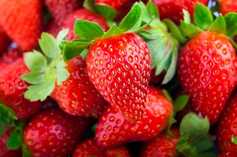 Strawberries background Stock Photos