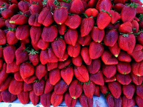 Strawberries background Stock Photos