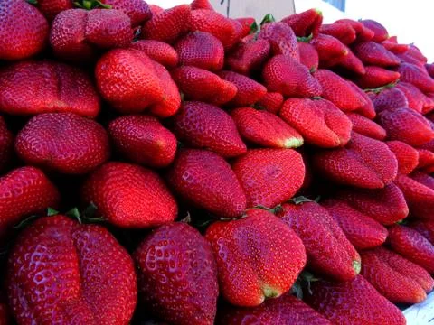 Strawberries background Stock Photos