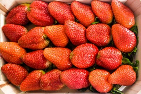 Strawberries background Stock Photos