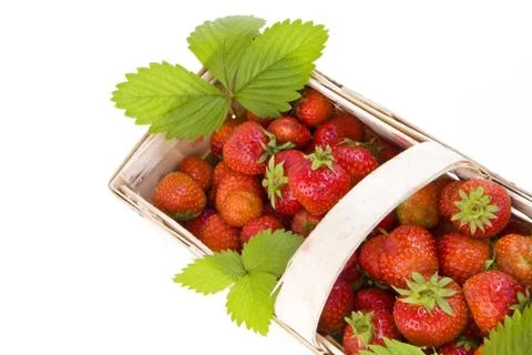 Strawberries in the basket Stock Photos
