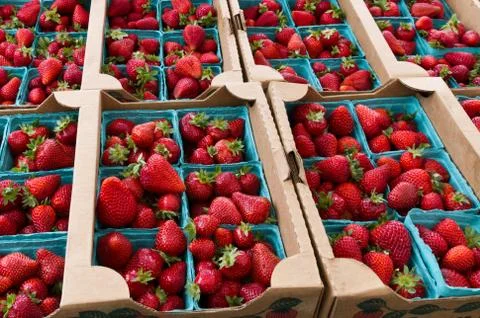 Strawberries in baskets on display Stock Photos